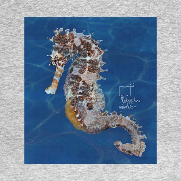 sea horse by mjartscom